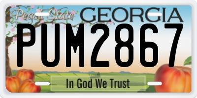GA license plate PUM2867