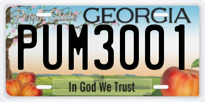 GA license plate PUM3001