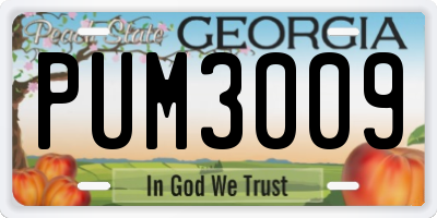GA license plate PUM3009