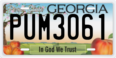 GA license plate PUM3061