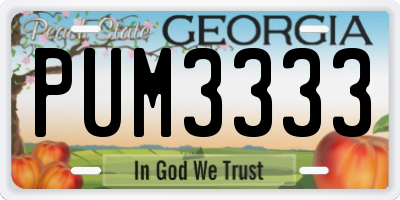 GA license plate PUM3333