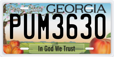 GA license plate PUM3630