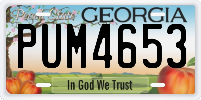 GA license plate PUM4653