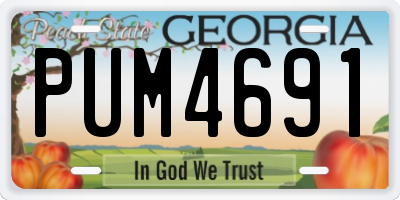 GA license plate PUM4691