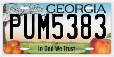 GA license plate PUM5383