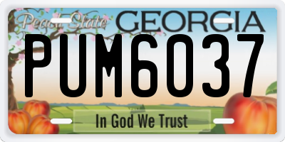 GA license plate PUM6037
