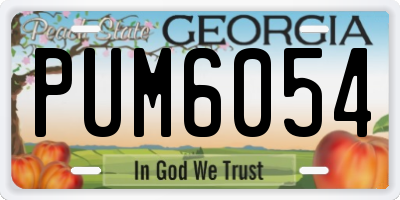GA license plate PUM6054