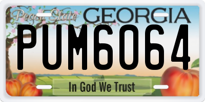 GA license plate PUM6064