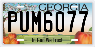 GA license plate PUM6077