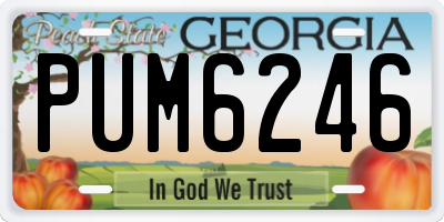 GA license plate PUM6246