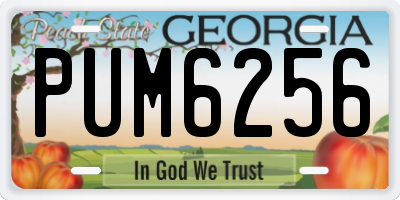 GA license plate PUM6256