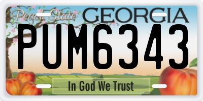 GA license plate PUM6343