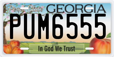GA license plate PUM6555