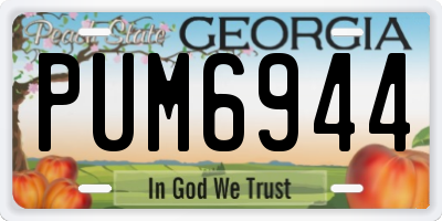 GA license plate PUM6944