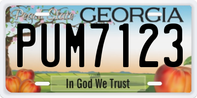 GA license plate PUM7123