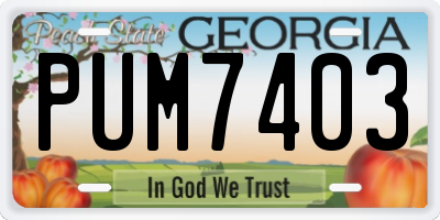 GA license plate PUM7403