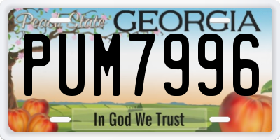 GA license plate PUM7996