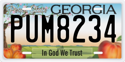 GA license plate PUM8234