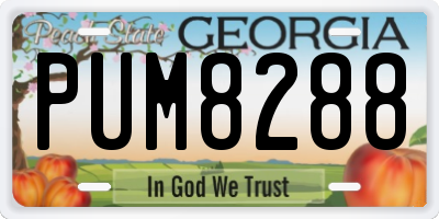 GA license plate PUM8288
