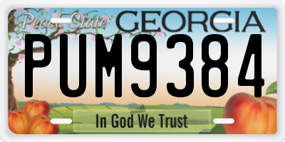 GA license plate PUM9384
