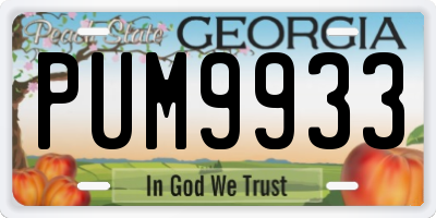 GA license plate PUM9933