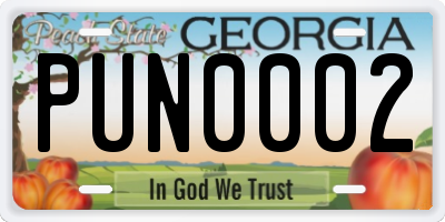 GA license plate PUN0002