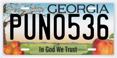 GA license plate PUN0536