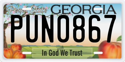 GA license plate PUN0867