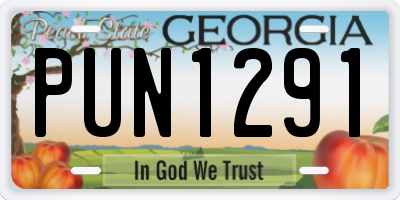 GA license plate PUN1291