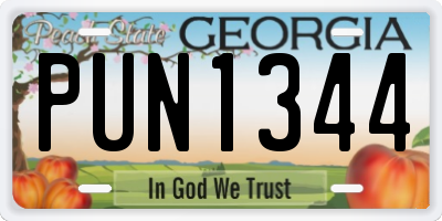 GA license plate PUN1344