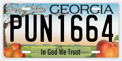 GA license plate PUN1664