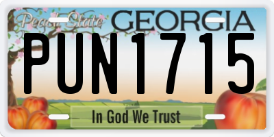 GA license plate PUN1715