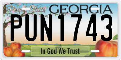 GA license plate PUN1743