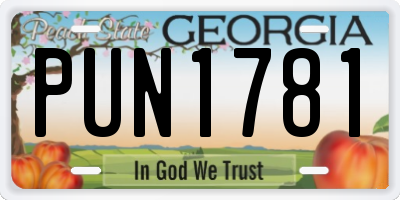 GA license plate PUN1781