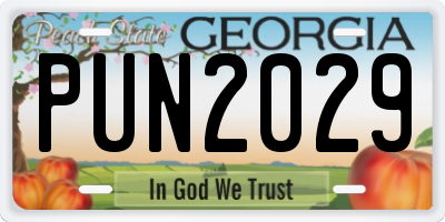 GA license plate PUN2029