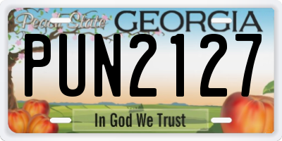 GA license plate PUN2127