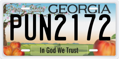 GA license plate PUN2172