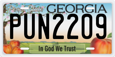 GA license plate PUN2209