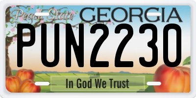 GA license plate PUN2230