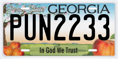 GA license plate PUN2233