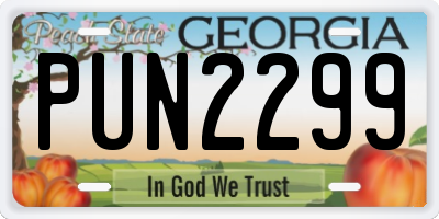 GA license plate PUN2299