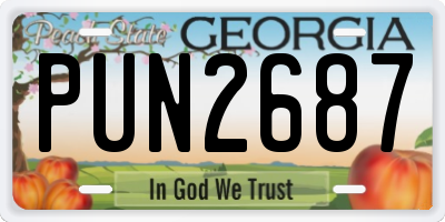 GA license plate PUN2687