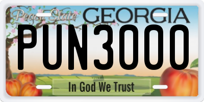 GA license plate PUN3000