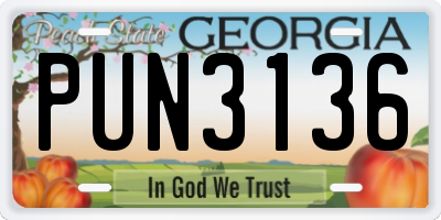 GA license plate PUN3136