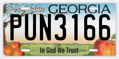 GA license plate PUN3166