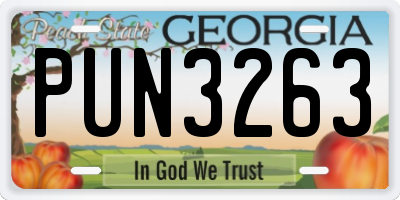 GA license plate PUN3263