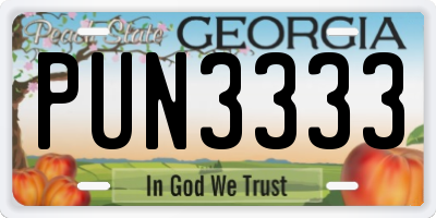 GA license plate PUN3333