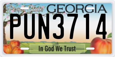 GA license plate PUN3714