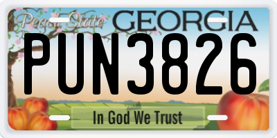 GA license plate PUN3826