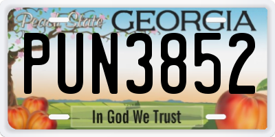 GA license plate PUN3852